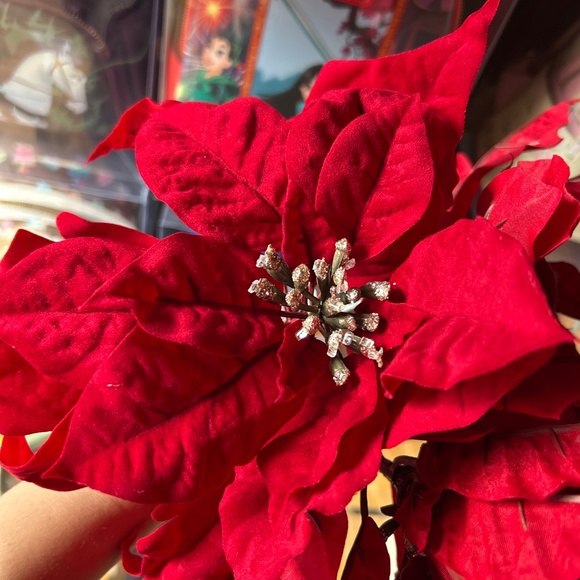 Balsam Hill Poinsettia 12 Set Picks Christmas Tree New - Picture 11 of 12